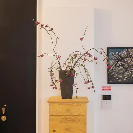Apartment Touchy
