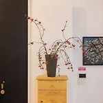 Apartman Touchy